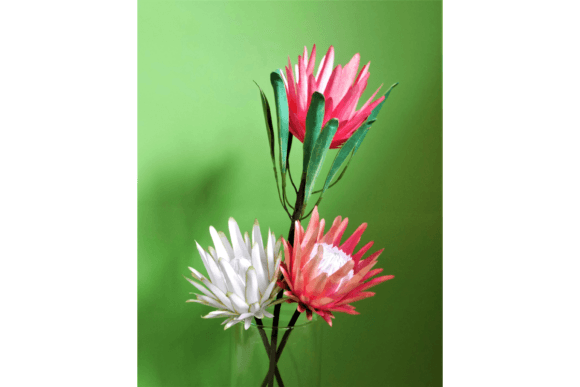 Blooming Protea 3D SVG for Paper Flowers